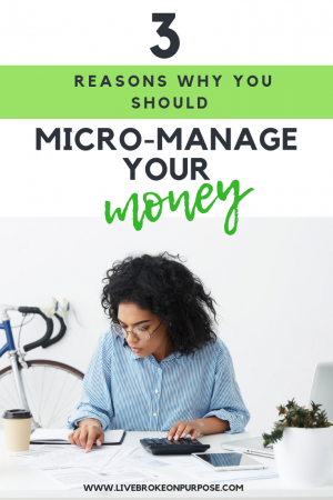 Read more about the article Why I started Micro-Managing Our Money.